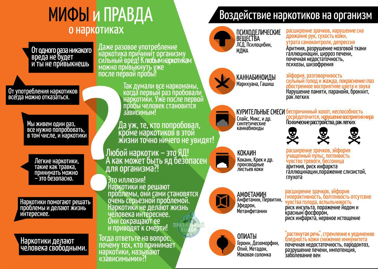 Профилактика табакокурения, алкоголизма и наркомании.